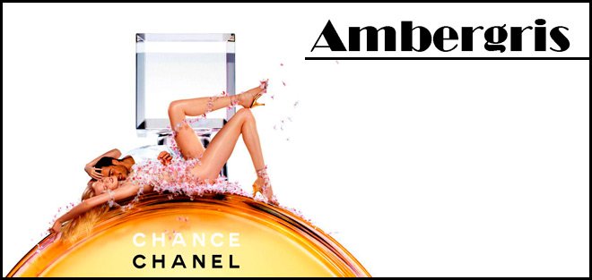 L'ambre et l'arôme de l'ambre en parfumerie