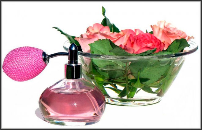 Nous créons notre nouveau parfum