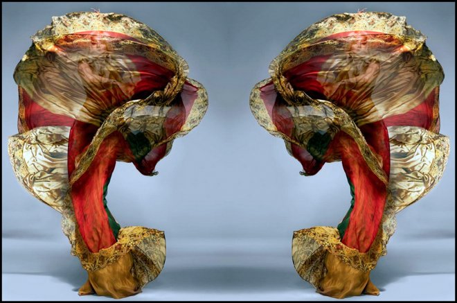 Lady Gaga, photographe Nick Knight