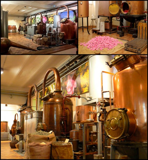 Grasse est la capitale de la parfumerie française