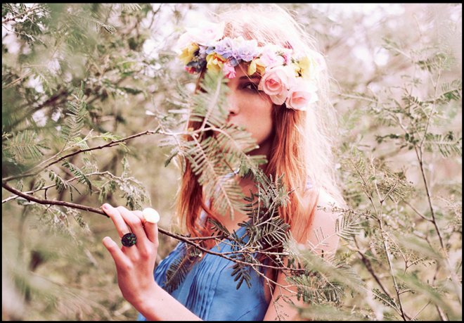 Parfums chyprés dans notre parfumerie