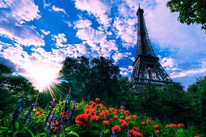 Tour Eiffel et fleurs