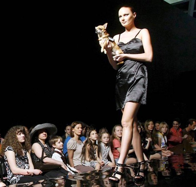 Semaine de la mode pour animaux de compagnie