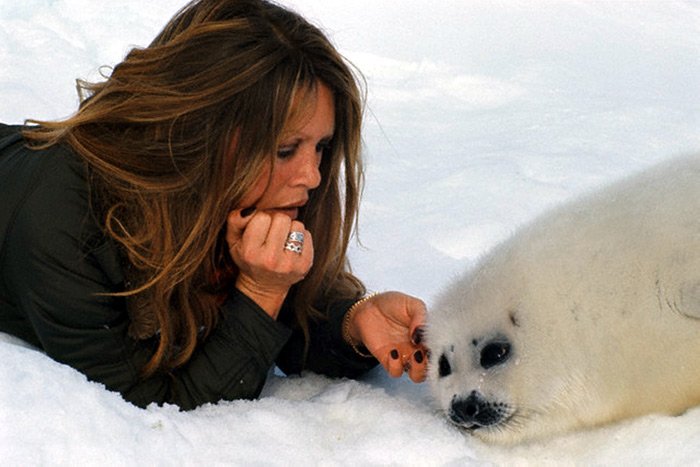 Brigitte Bardot protectrice des animaux