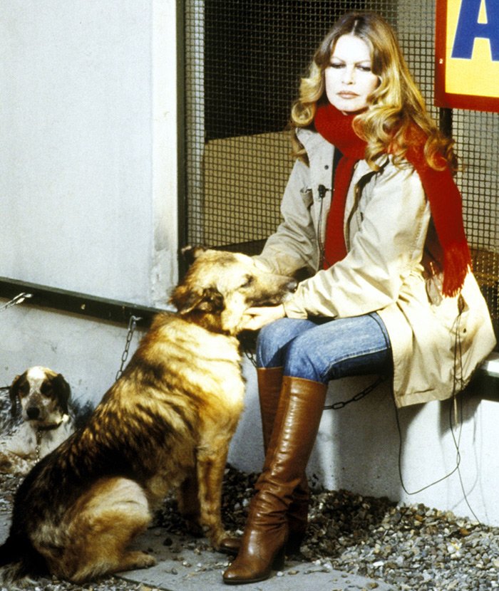 Brigitte Bardot photo avec des chiens