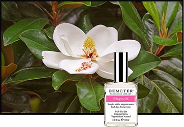 Le parfum des fleurs de magnolia en parfumerie
