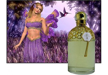 Parfums au parfum de lavande