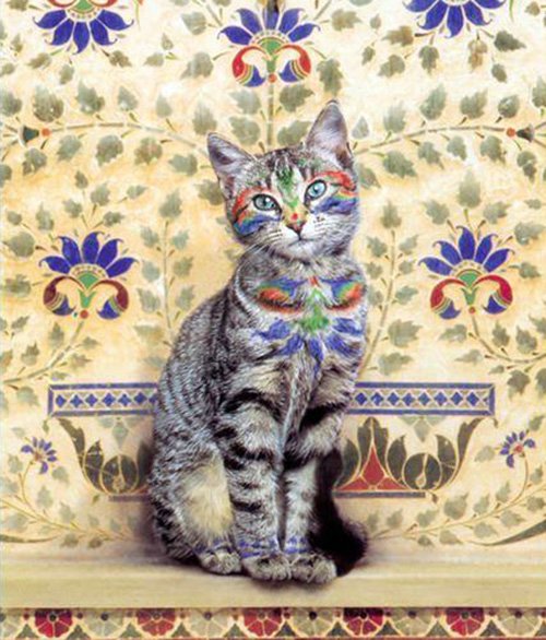 Chat vraiment glamour, photo d'un chat