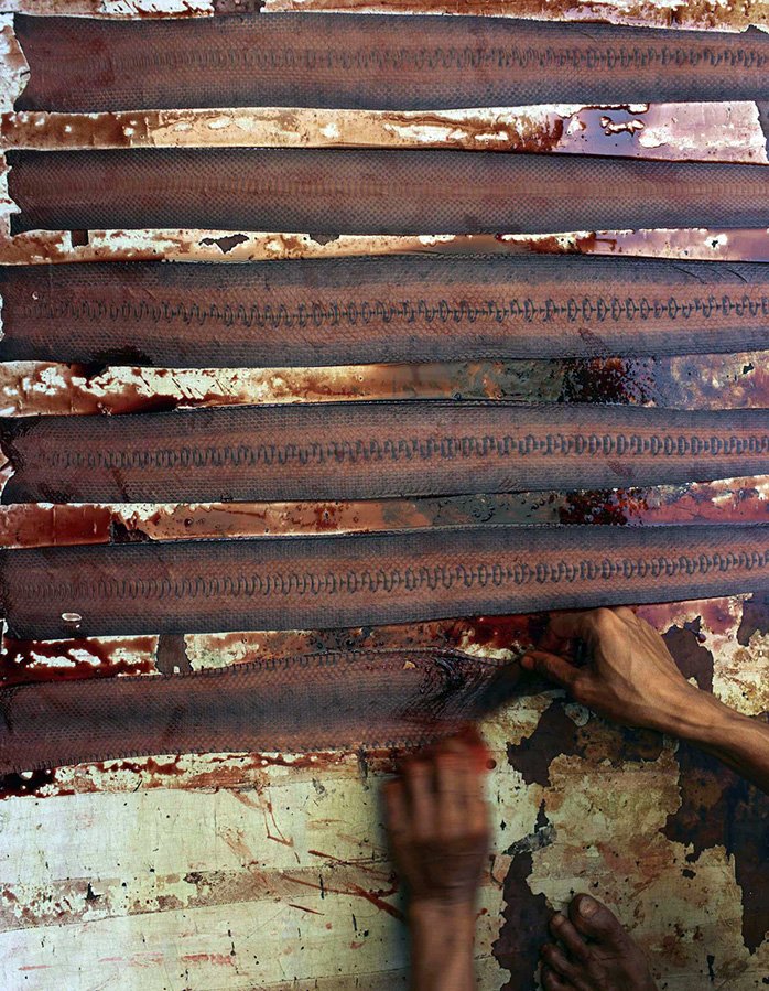 Teinture de peau de serpent pour sacs pour femmes, photo