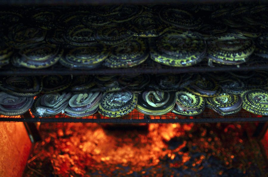 Faire de la peau de serpent pour les sacs de mode