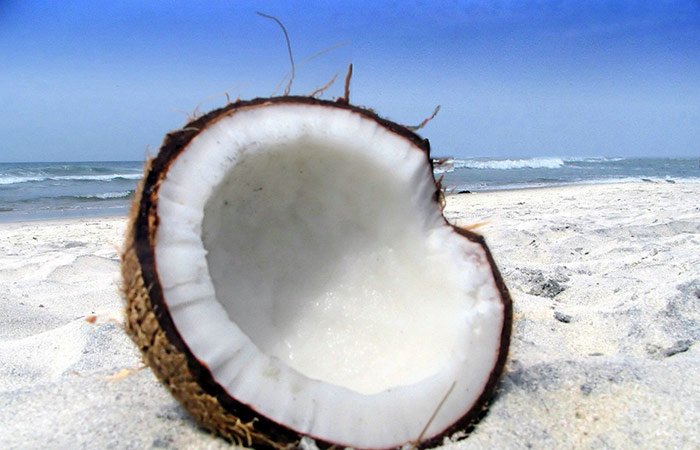 Océan, côte, photo de plage