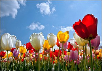 Vacances de mai 2026