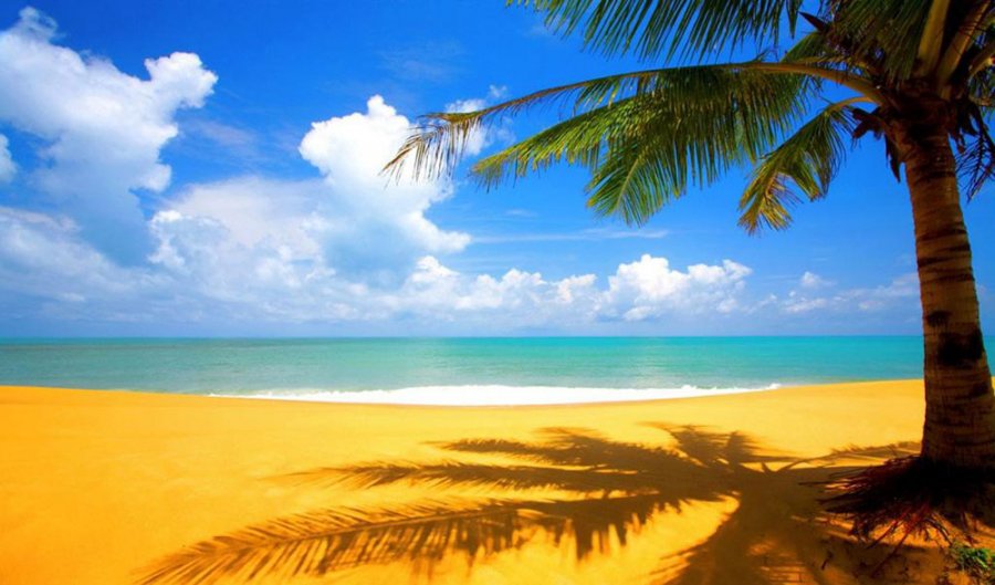 Wanderlust et une photo de vie heureuse