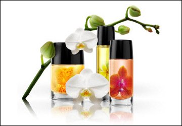 Parfums d'été