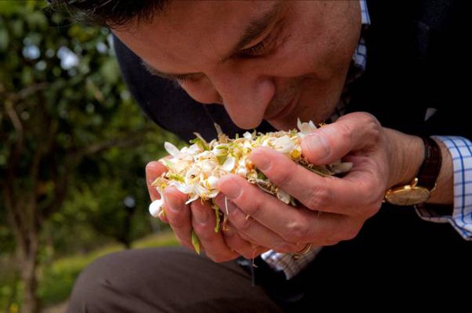 Parfumeur Thierry Wasser photo