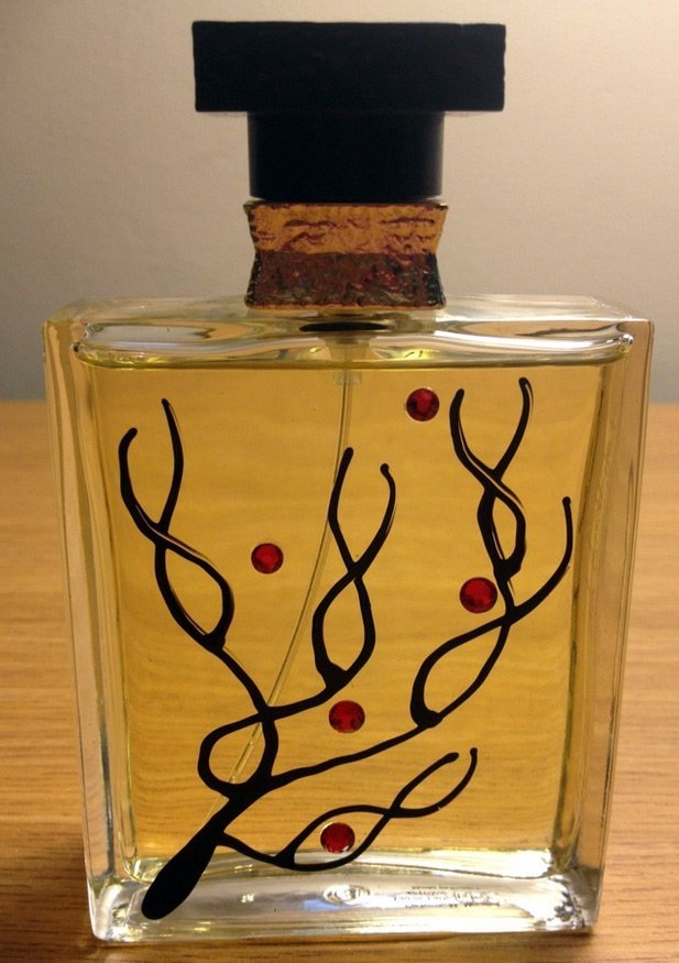 parfums de la mer m micallef photo de la mer rouge