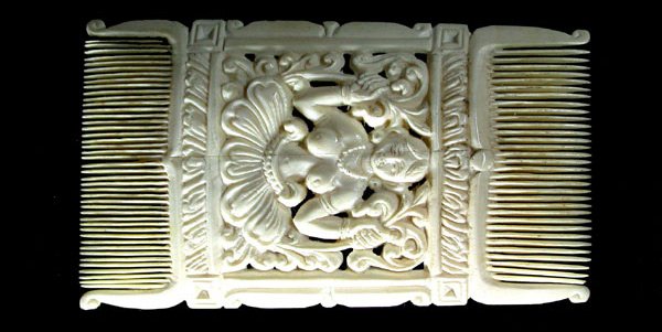 Peigne à os, photo