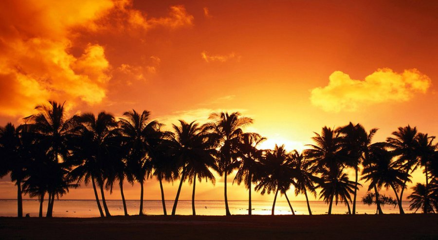 Composition - comment j'ai passé mon été