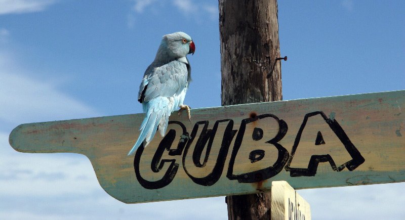 Shopping et voyages, photographie