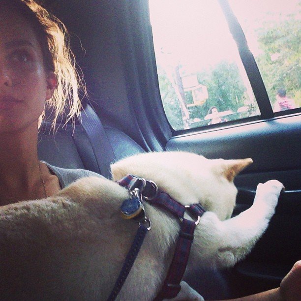 Photo du chien de la page d'Andreea Diaconu