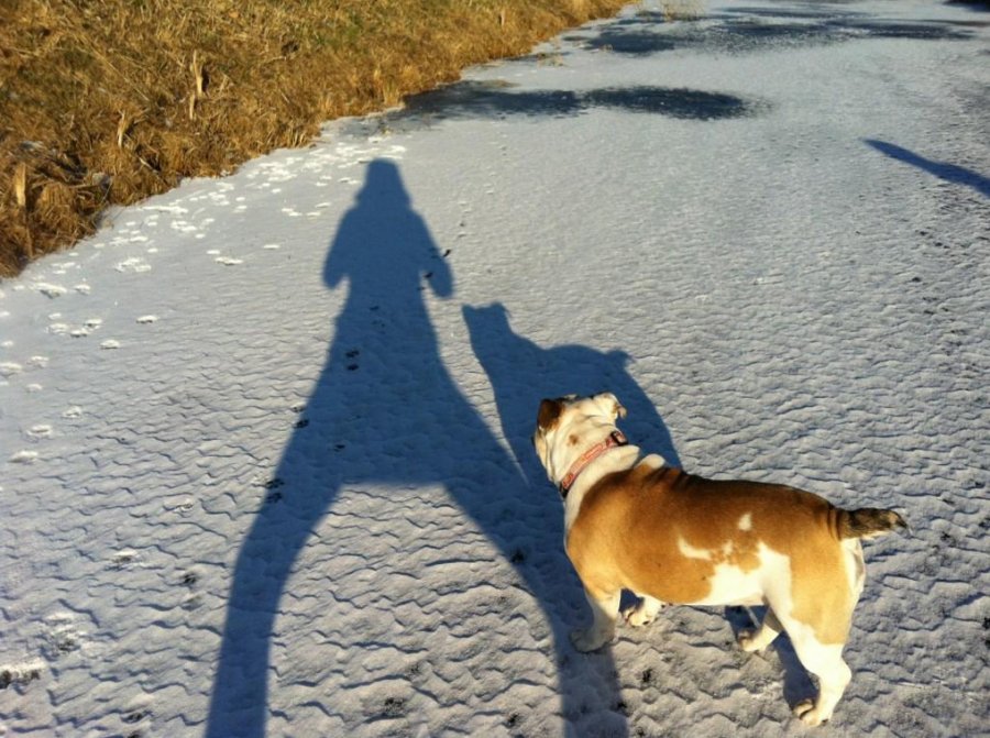 Photo des archives du mannequin Vanessa Axente