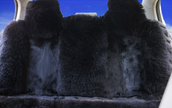 Accessoires de voiture glamour