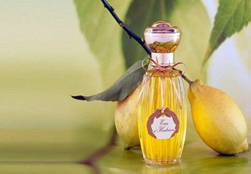 Arômes d'agrumes en parfumerie