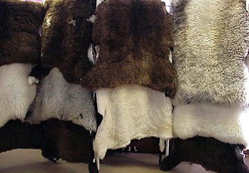 Des vêtements chauds en peau de mouton