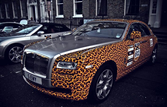 Imprimé léopard pour voiture