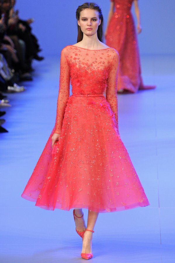 Photo de la robe Elie Saab