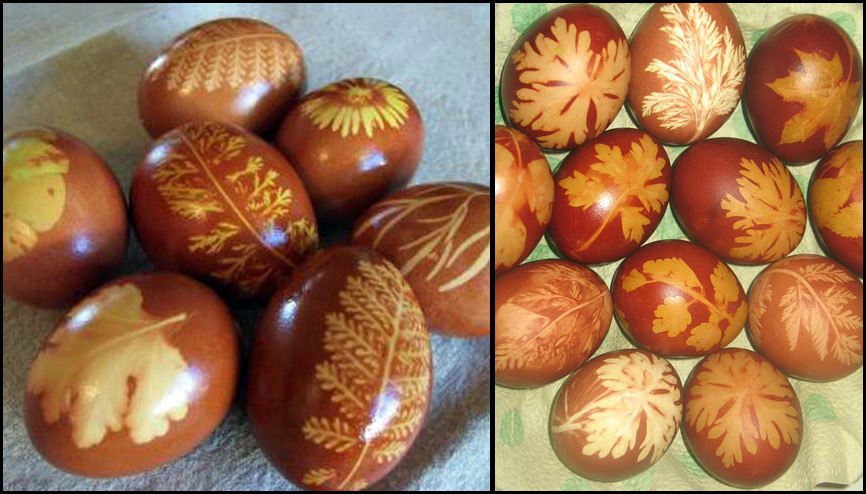Colorer des oeufs de Pâques avec des pelures d'oignons