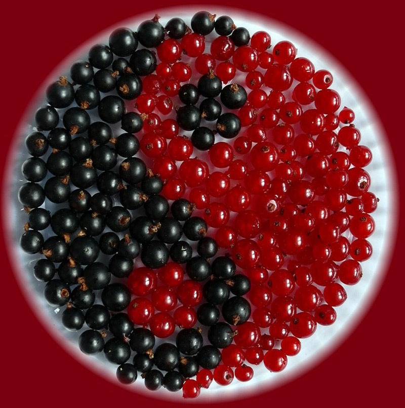 Masques aux baies et aux groseilles