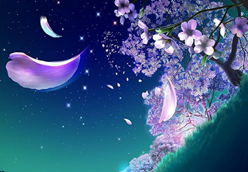 Parfumerie senteurs de la nuit