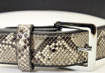 Imprimé serpent 2025-2026