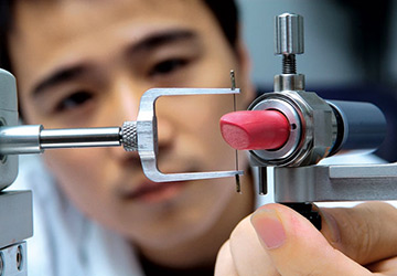 Journée mondiale de la beauté