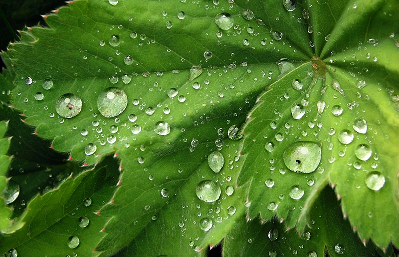 Dans quelle eau faut-il se laver les cheveux ?