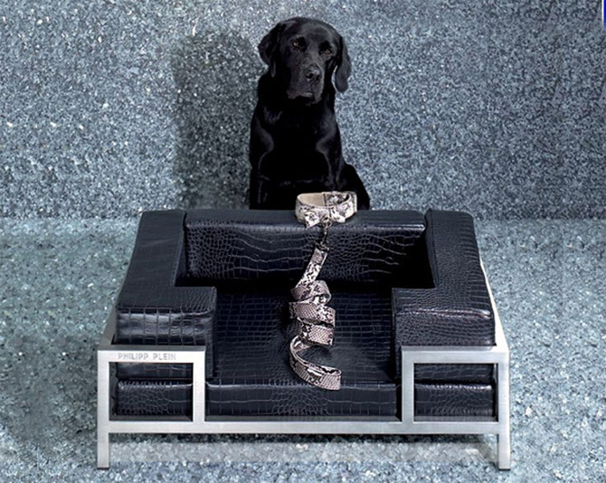 Chaise pour chien Philipp Plein