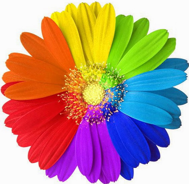 Choisir la couleur de la robe pour le nouvel an