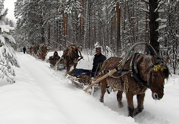 Où fêter la nouvelle année 2026 ?