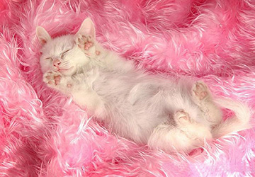 Vêtements chauds et lumineux 2025-2026