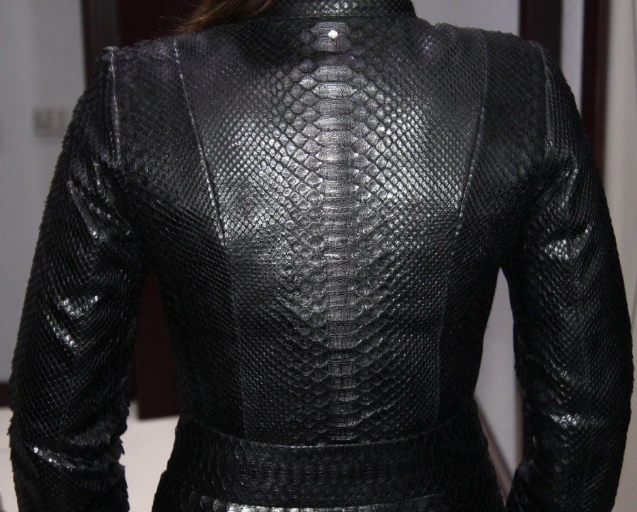 Veste en cuir, photo