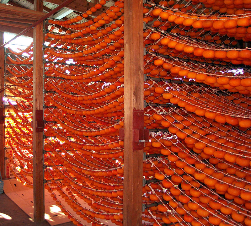 Kaki pour la beauté - masques au kaki