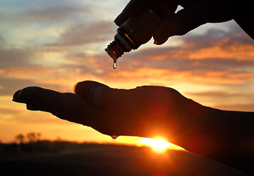 L'huile essentielle d'orange et ses propriétés