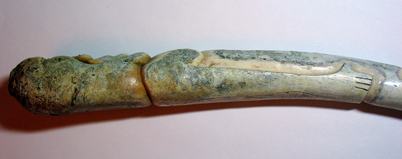 L'accessoire d'Halloween le plus insolite