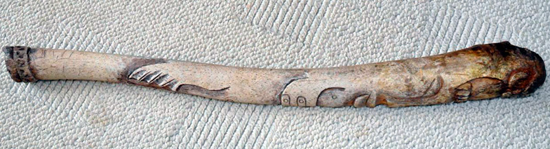 L'accessoire d'Halloween le plus insolite