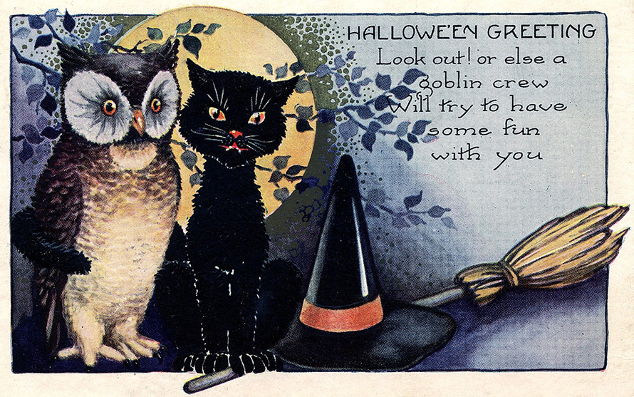 Chats noirs d'Halloween