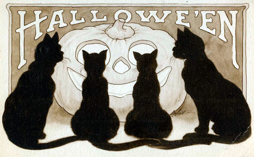 Chats noirs d'Halloween