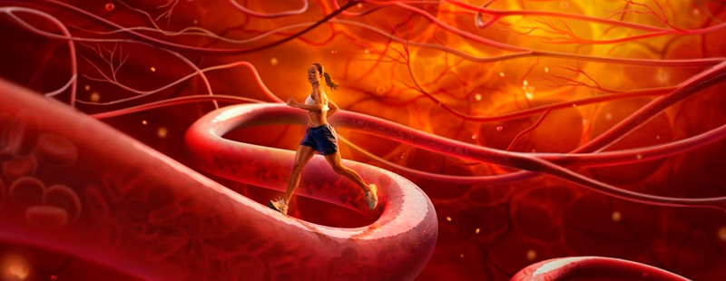 La beauté et le système lymphatique