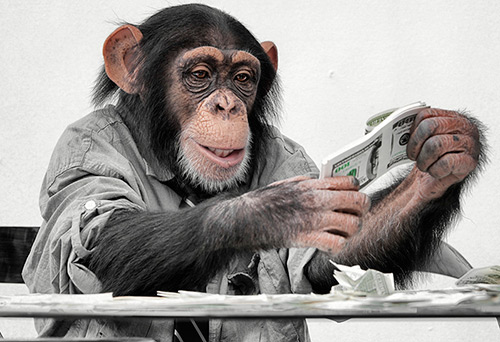 Singes pour le Nouvel An - souvenirs chers