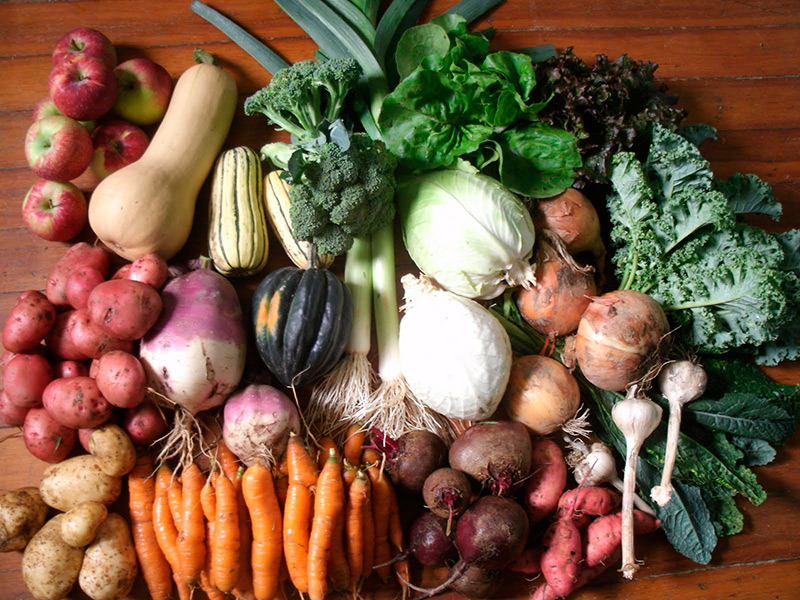 Comment bien manger en hiver